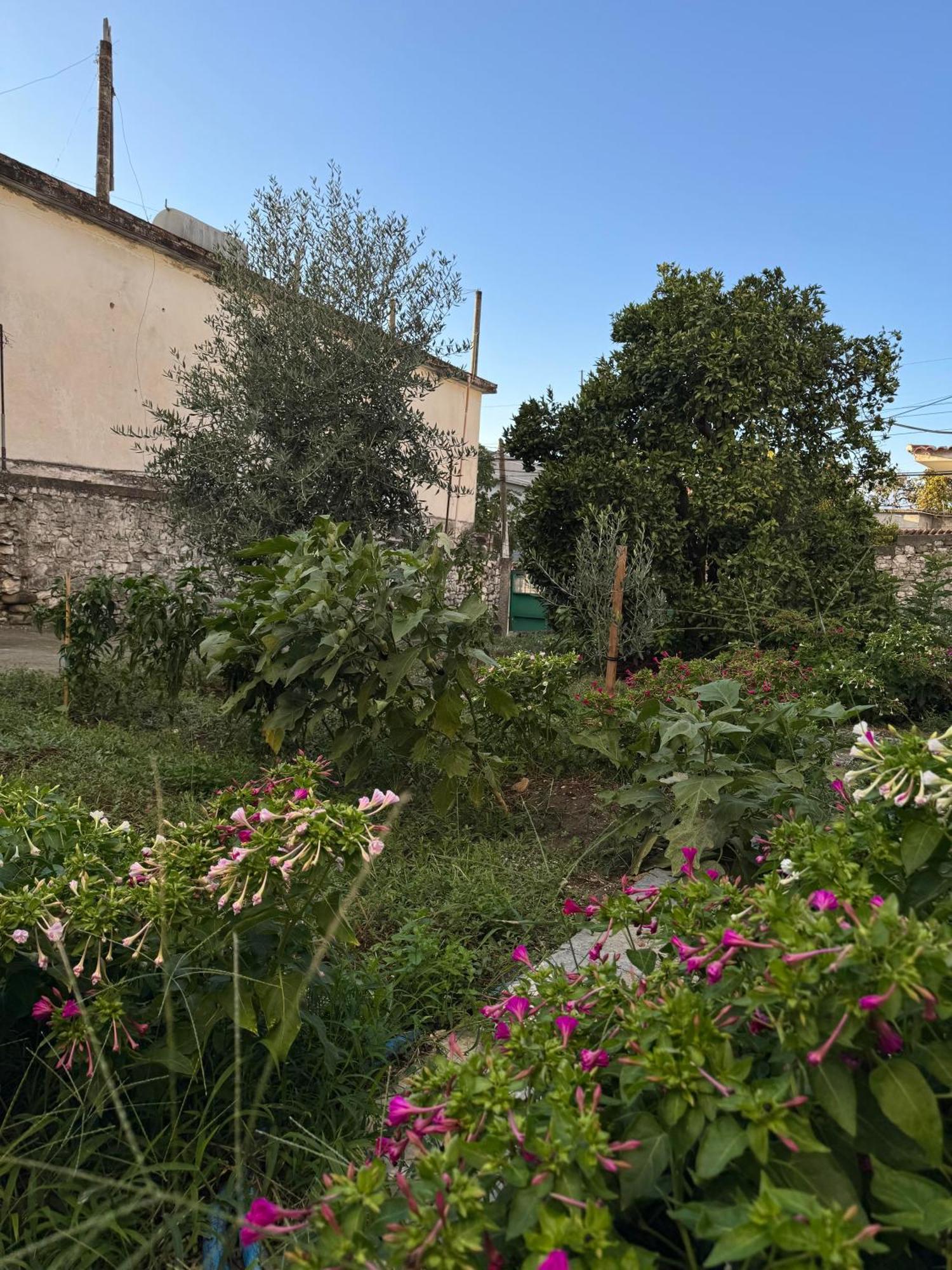 Ardjon House Hostel Berat Exterior photo